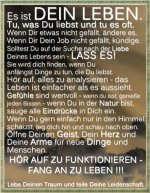 spruch.jpg