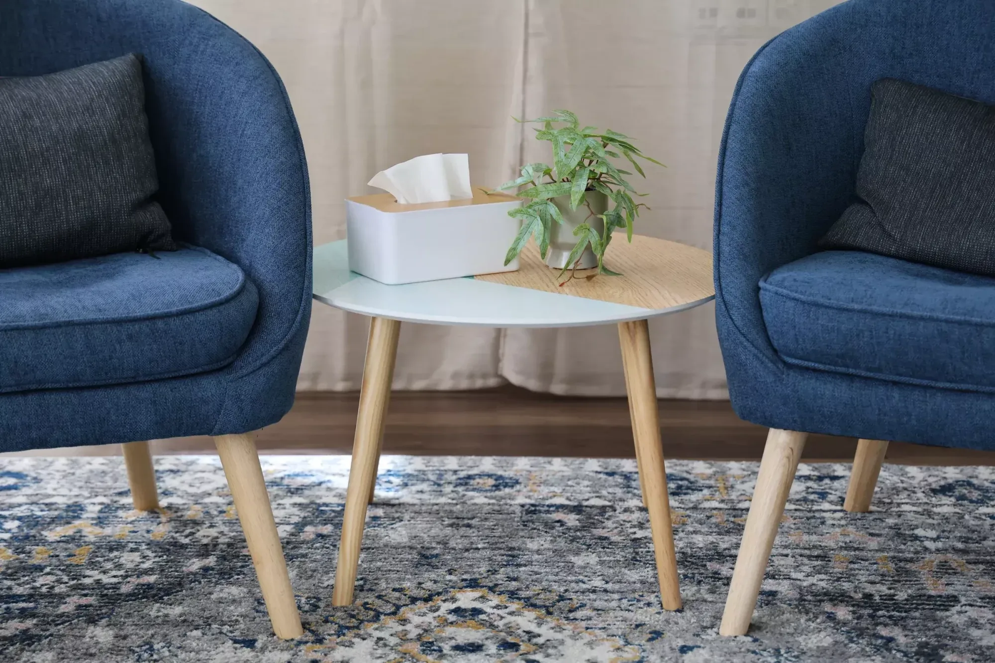 Therapieraum mit Pflanze und Taschentüchern